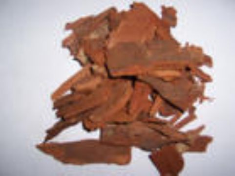 Yohimbe Extract